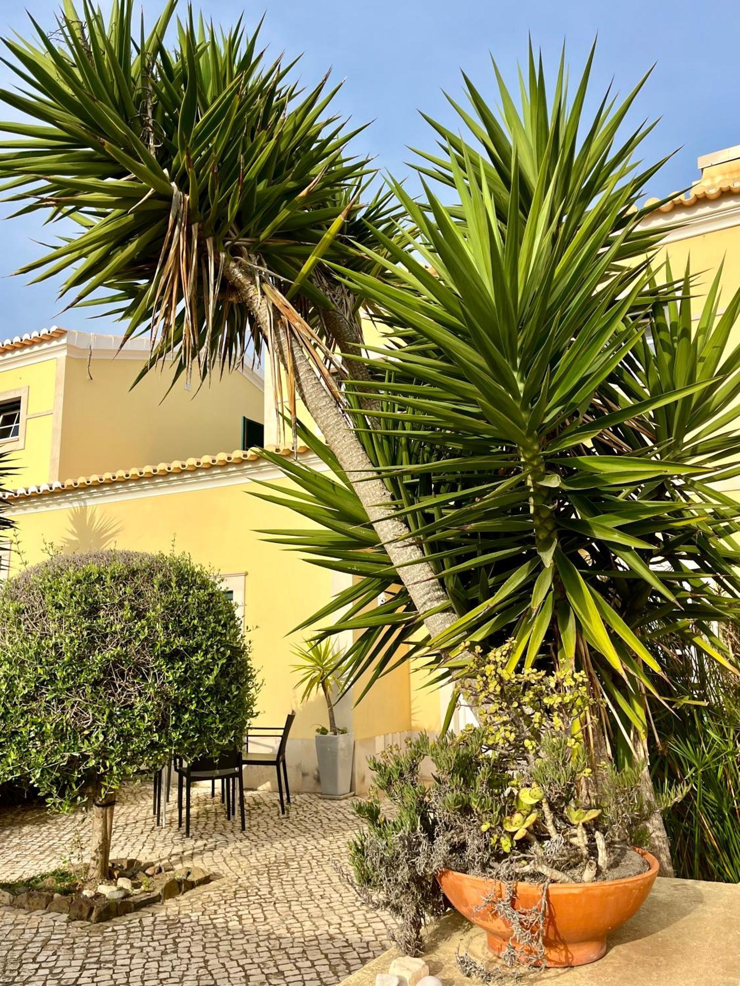 Pita'S House - Villa Sagres 2 Luaran gambar